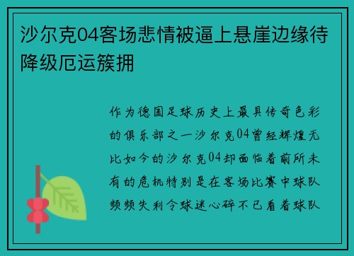 沙尔克04客场悲情被逼上悬崖边缘待降级厄运簇拥